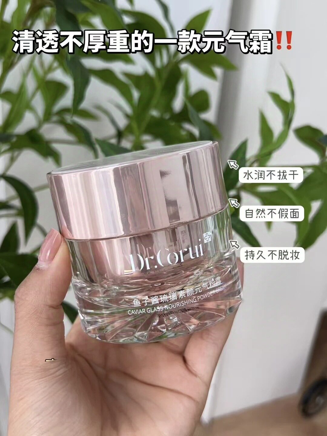 【专柜正品】爱得瑞Dr.Corui鱼子酱琉璃素颜元气粉霜滋润提亮养肤