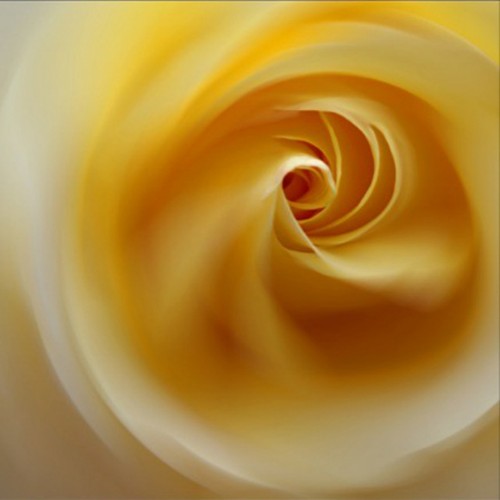 海伦珍选化骨绵掌手霜滋润护手霜