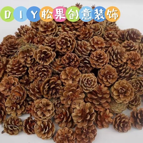 天然松果DIY松塔干树枝原木干花幼儿园手工环创布置装饰挂饰材料