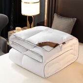 Autumn 被子羽丝绒被子秋冬被子加厚保暖被芯 Duvet Winter Quilt