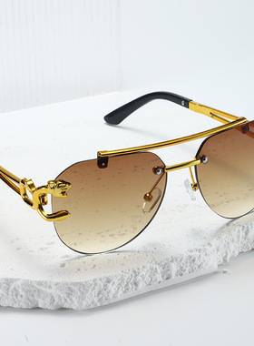 Men/Women Sunglasses眼镜男女同款质感防晒太阳镜个性装饰墨镜