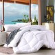 Duvet Winter Blanket冬被子加厚 Flannel Comforter Super Warm