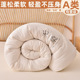 Quilt被子加厚保暖春秋被原棉冬被秋冬季 Warm Duvet 棉被学生被芯