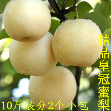 精品河北皇冠梨新鲜10斤包邮特价河北特产皇冠梨子非鸭梨雪梨产地