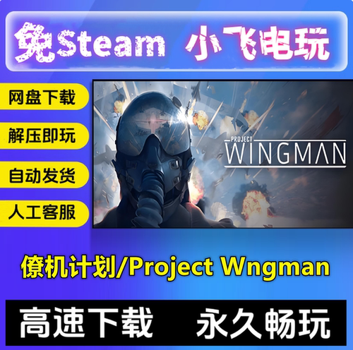 僚机计划/Project Wingman 飞行中文单机pc电脑游戏 免steam全DLC