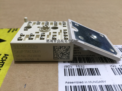 SKIIP24AC12T4V1 SKIIP13AC126V1 SKIIP11AC126V1 SKIIP12AC12T4