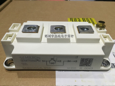 SKM400GAL176D SKM400GAL123D SKM400GAL125D SKM400GAL128D 173D