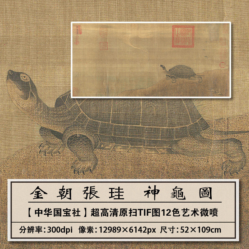 1:1真迹复刻金朝张珪 神龟图扫描大图装饰画临摹画稿学习范本