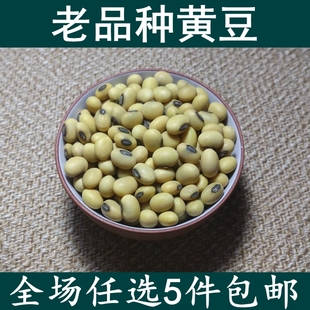 老品种椭圆形有黑脐黄豆500g非转基因农家土黄豆可发豆芽打豆浆