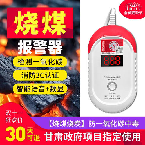 批发插电款一氧化碳报警器家用室内炭火炉子蜂窝煤烟co探测仪
