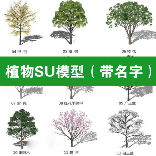 su高质量3d植物模型带名称花草树乔木灌木合集素材库