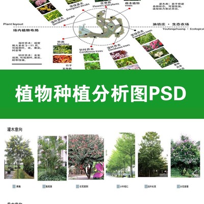 【310】种植分析图PSD分层公园生态植物配置搭群落园林景观ps素材