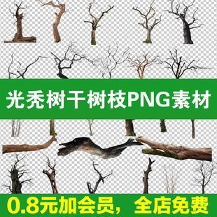 枯树PS素材落叶冬季效果图后期乔木光秃树干树枝植物psd免扣配景