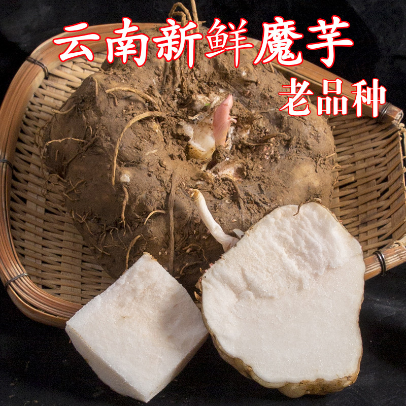 魔芋干菜云南特产现挖大小个食材