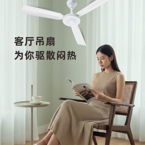 中联大风力床上吊扇静音家用定时