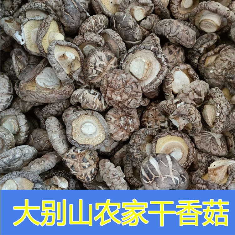 安庆太湖潜山望江宿松土特产香菇