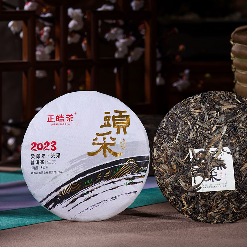 正皓茶 普洱生茶 2023年头采 精选勐海乔木大树头波春茶357g/饼图片