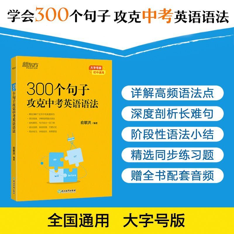 新东方 100个句子记完3500个高考单词+高考英语大纲词汇表 300个句子攻克高考英语语法 同步学练测