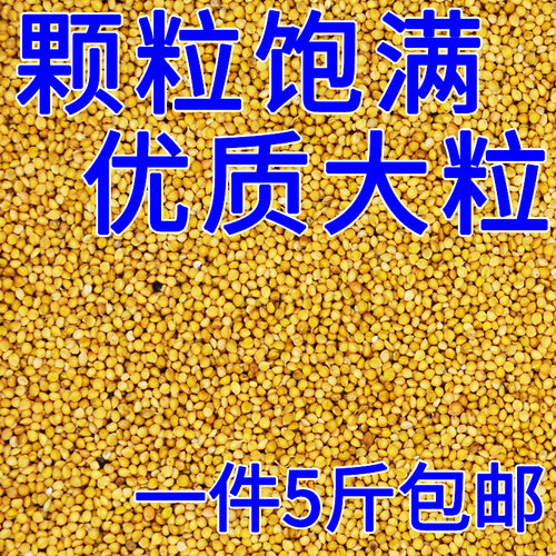 新黄谷子带壳小米鸟粮饲料中小型