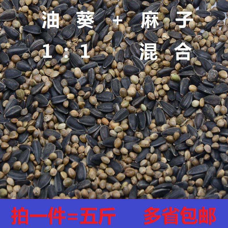 油葵麻子二合一混合饲料黑瓜子火麻子鸽子仓鼠鹦鹉饲料油性料包邮