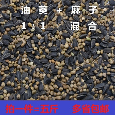 油葵麻子二合一混合料火麻子鸽子