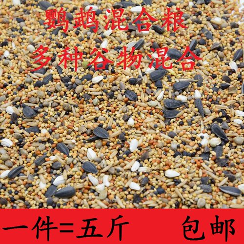 中小型鹦鹉吃各种粮食混合牡丹旋风横斑娇凤等鸟谷子五色黍子包邮
