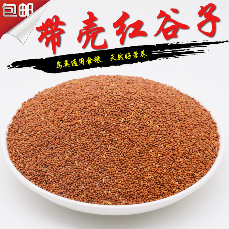 鸟食谷子虎皮牡丹小鹦鹉新红谷子