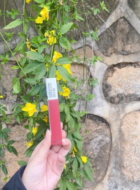 美宝莲巨持哑光液体唇膏245 80  117 220 210 425 135 285 接吻棒