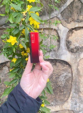 美宝莲绝色持久唇膏01烟火 02鞭炮红 03春联红 04岩浆红 05红中色