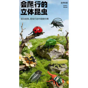 早教益智点读发条仿真昆虫玩具