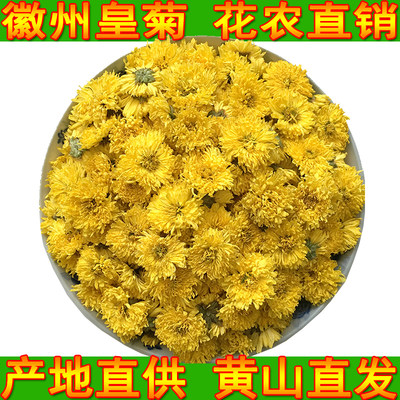 2023年新菊花茶徽菊黄山大皇菊花黄菊花胎菊徽州皇菊花500g散装