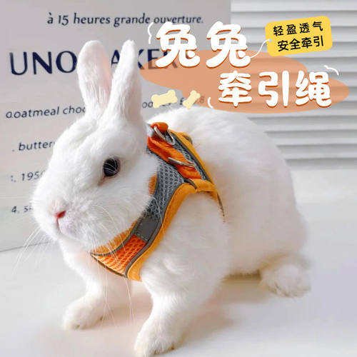 兔子牵引绳防挣脱溜兔小型兔子