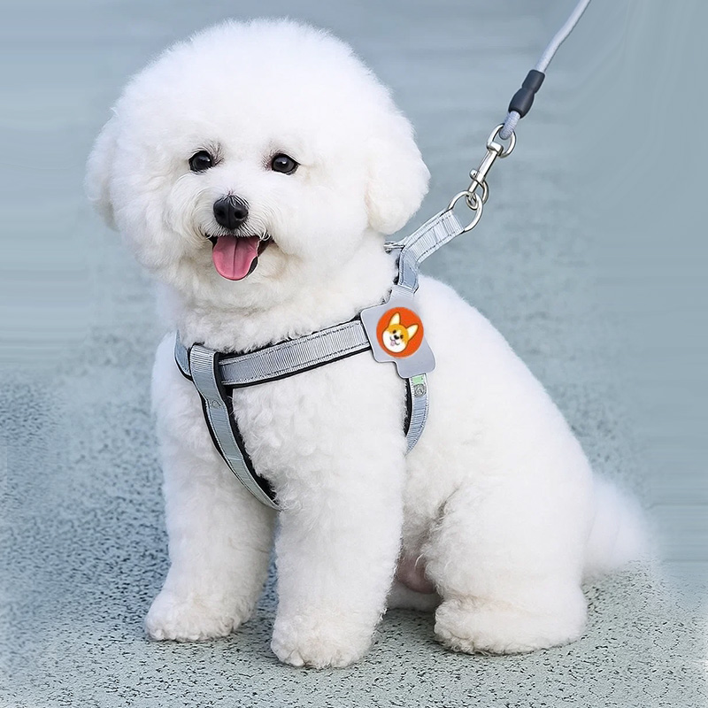 【护胸不勒脖】项圈式狗狗牵引绳