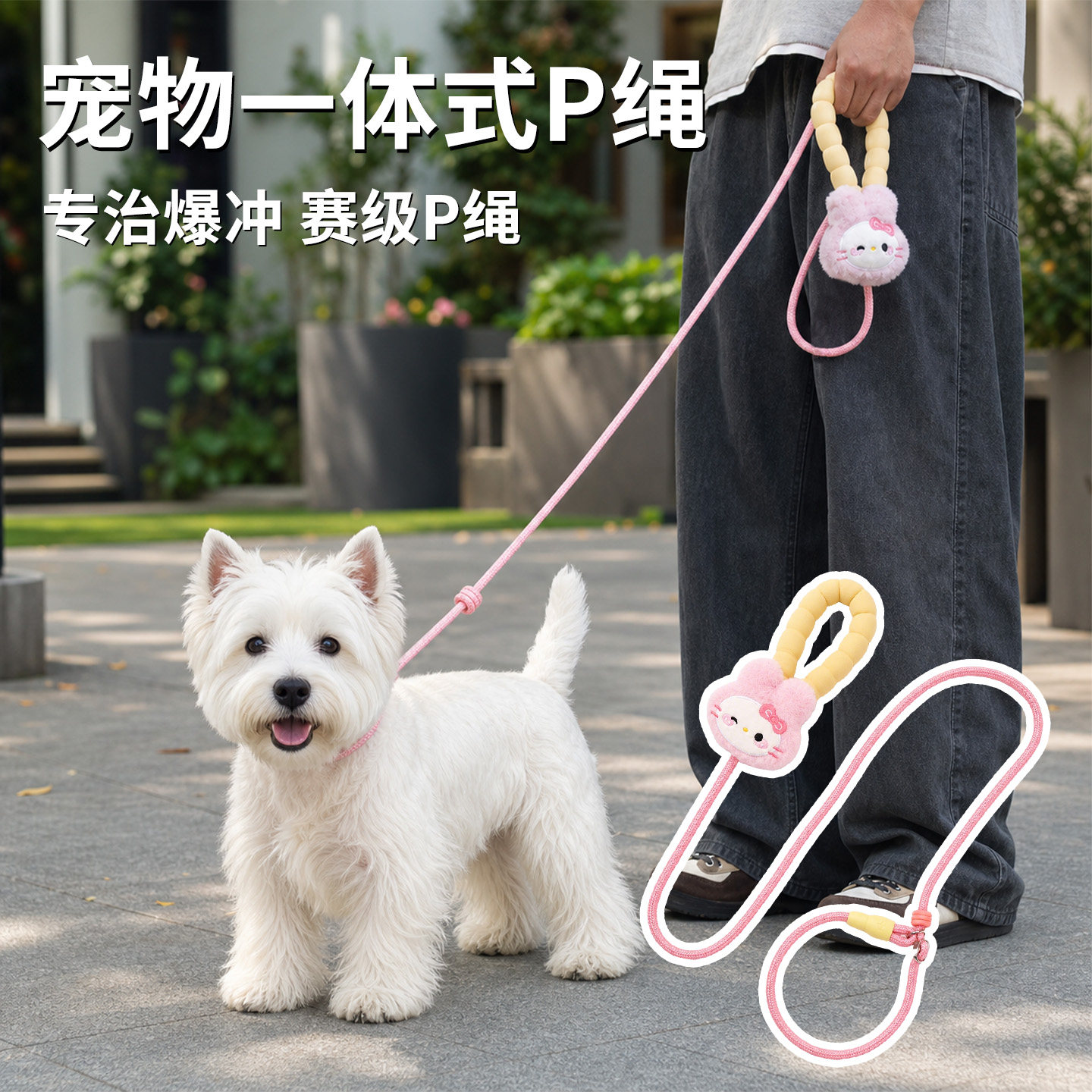 卡通可爱训犬P绳防爆冲纠正恶习图片