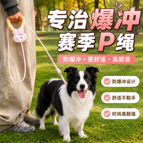 中大型犬P链防爆冲耐咬牵引绳