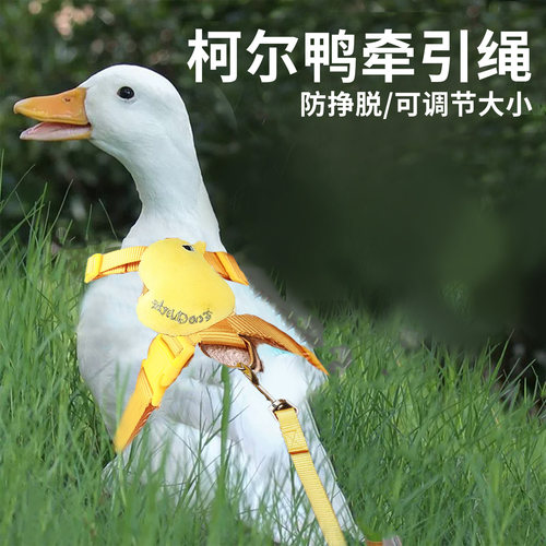【鸭子专用】柯尔鸭牵引绳防挣脱