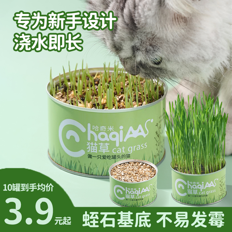 猫草猫零食吐毛球排毛化毛草盆栽
