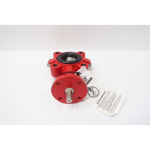 Bray 210200-11010124 Iron Butterfly Valve 2in 150