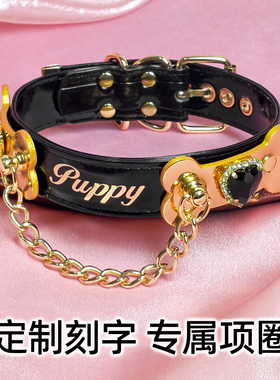 小狗最喜欢闪闪发光的骨头项圈啦