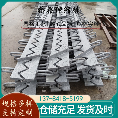 公路桥梁伸缩缝梳齿板伸缩装置模数式异型钢多向变位毛勒伸缩缝