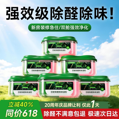 【双舱强效净化】除甲醛神器新房急入住家用强力型去吸甲醛清除剂