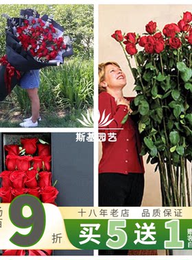 自由女神月季厄瓜多尔巨型玫瑰花
