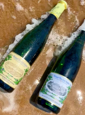 Weingut Mosel Riesling德国里克特摩泽尔雷司令小甜水双支组合装