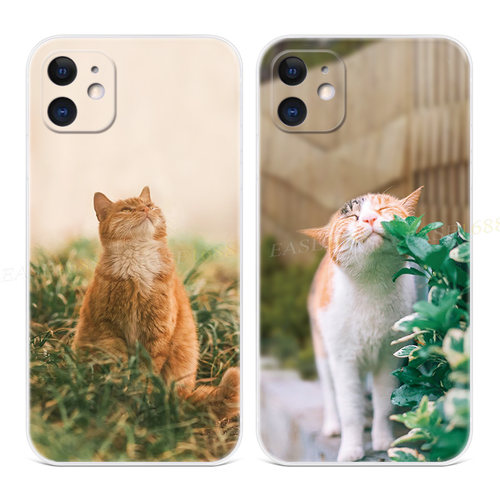 可爱猫咪适用苹果手机壳