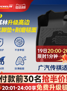 米其林全TPE汽车脚垫适用于广汽传祺ES9埃安S RT V Y-PLUS 昊铂HT