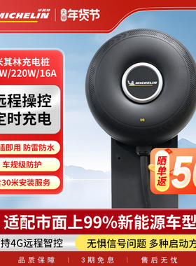 米其林新能源充电桩特斯拉model3y汽车充电枪家用接地宝7kw32A