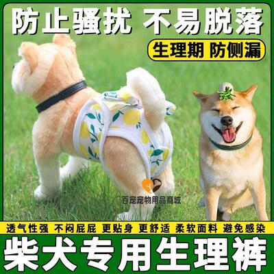 柴犬专用狗狗姨妈巾生理裤母狗防交配神器避孕生理期卫生巾安全裤