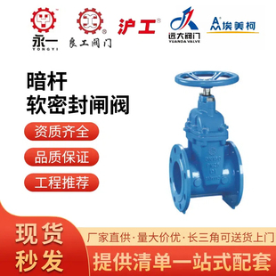 良工沪工远大埃美柯KIZI开滋阀门中核苏阀软密封暗杆闸阀Z45X-16Q