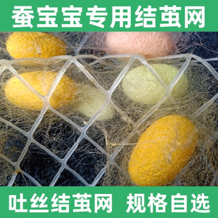 蚕宝宝吐丝结茧网小网片中网片大结茧网工具大小任选质保10年包邮