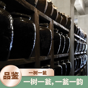 |易武第一梯队小微产区|一树一瓮品鉴装分享瓮藏龙珠